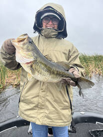 Fellsmere Report Photo 1