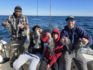 Black seabass Bonanza,  Come get them wh