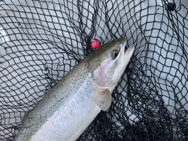 Brisk winter weather, amazing scenery an