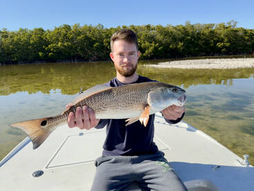 Sight casting at BIG Redfish up on the f