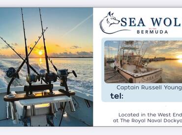 N Atalntic Winter weather continues here