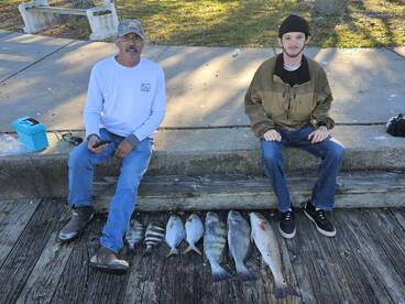 New Smyrna Beach Report Photo 2