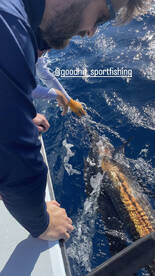 Fort Lauderdale Report Photo 1