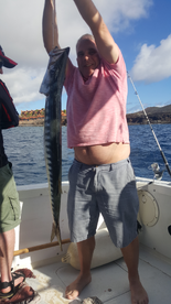 Big barracuda