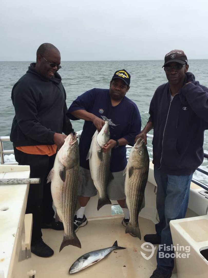 Montauk Report Photo 0