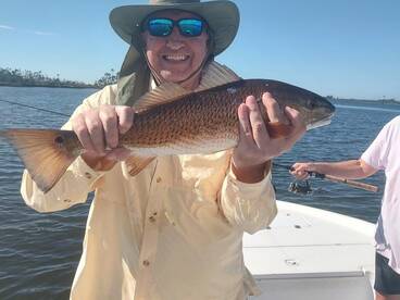 Bait it and they will come…