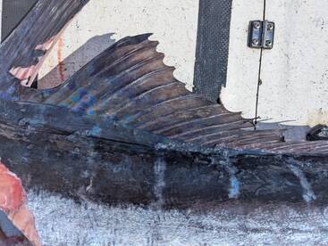 Haleiwa Report Photo 1