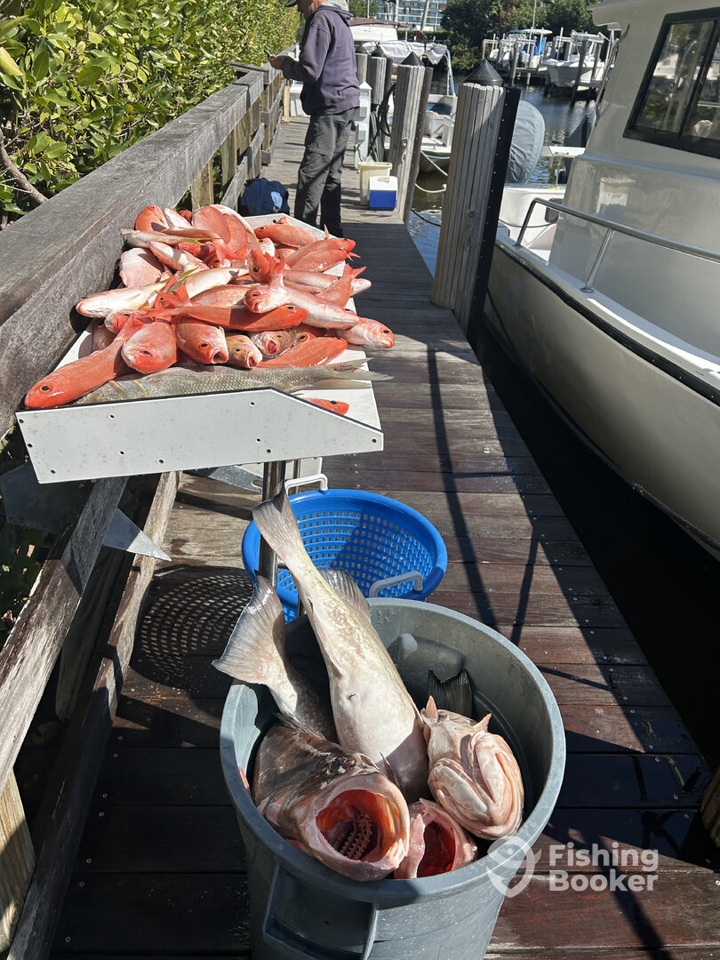 Naples Report Photo 0