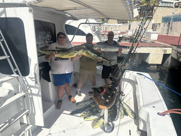 Good morning for mahi