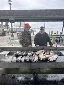 Lake Charles Report Photo 2