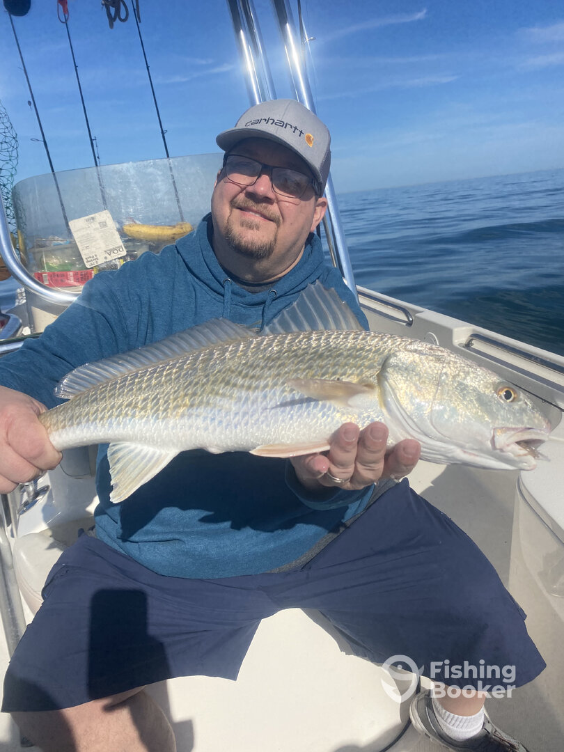 Sarasota Report Photo 0