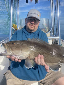 Sarasota Report Photo 1