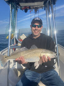 Sarasota Report Photo 2