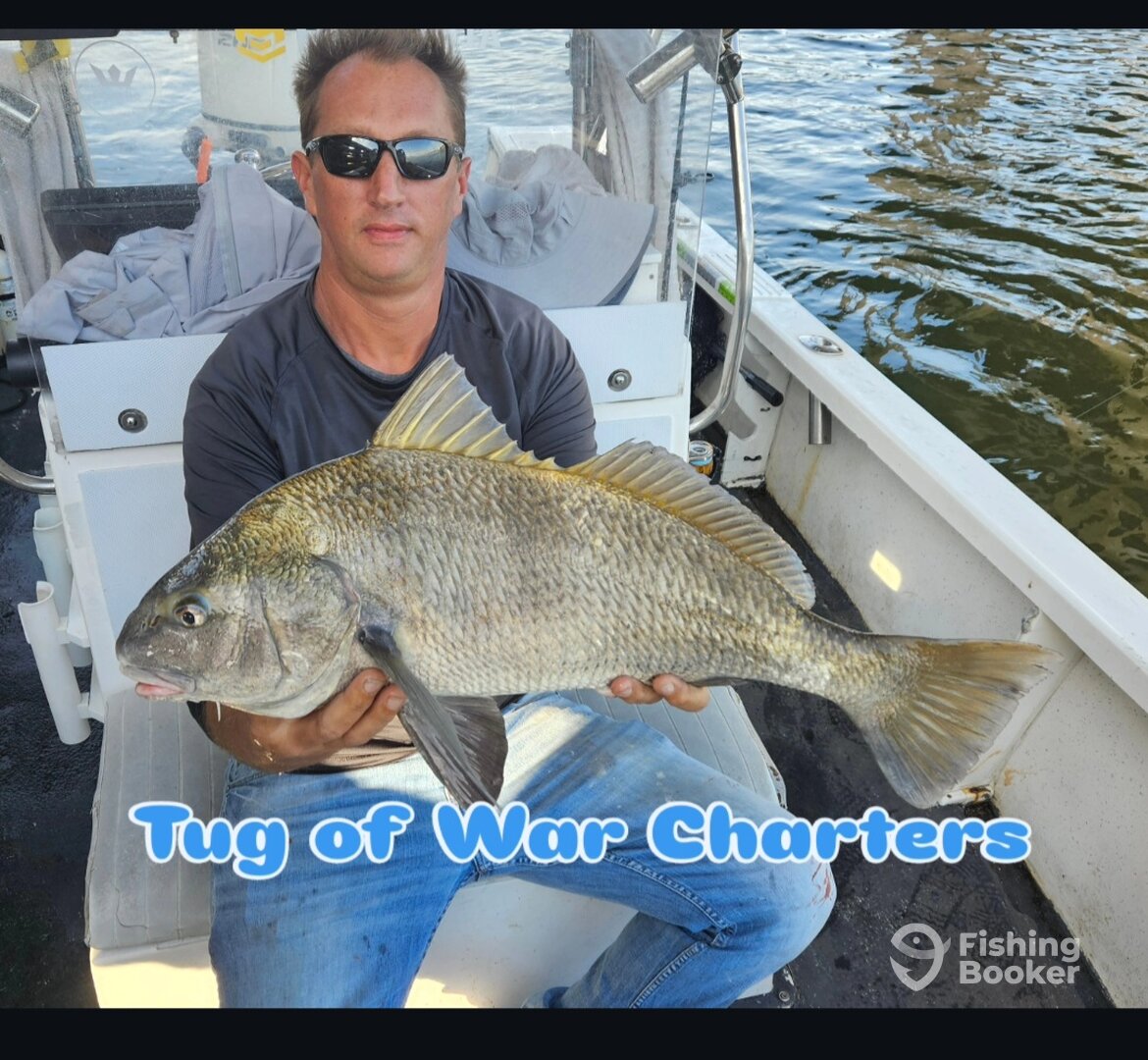 New Smyrna Beach Report Photo 0