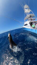 Action packed overnighter