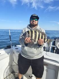 Sheepsheads are fired up