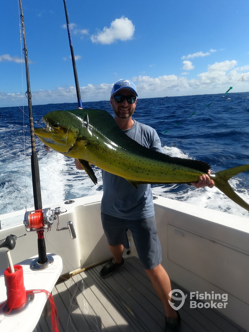 Punta Cana Report Photo 0
