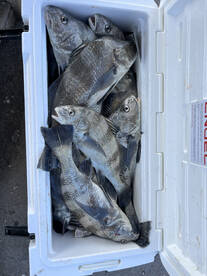 February drum action!