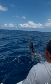 Tough day but homework was done