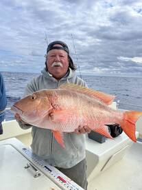 Kings and snapper ! 