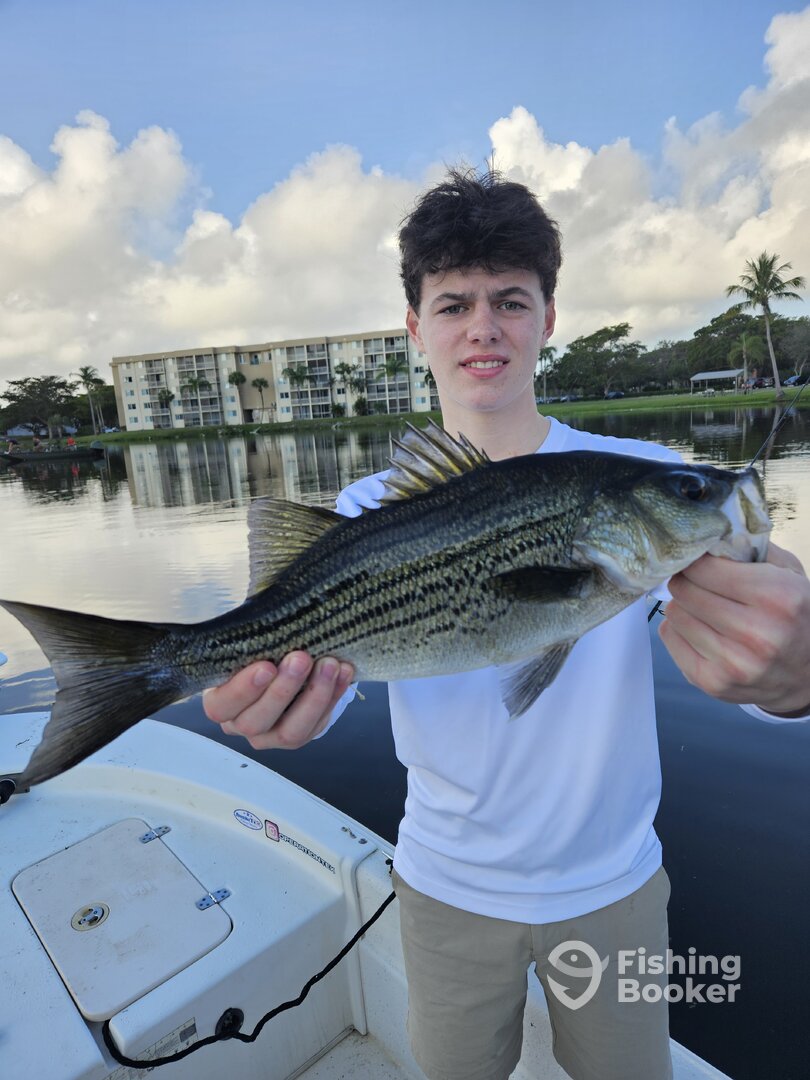 Delray Beach Report Photo 0