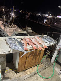 Key West Report Photo 2