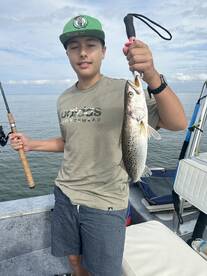 Crystal River Report Photo 2