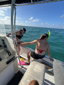Snorkel conch lobster