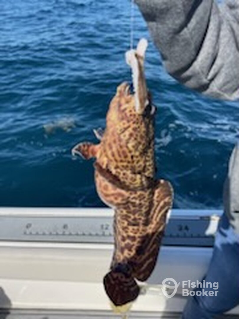 Pensacola Beach Report Photo 0