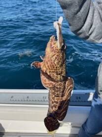 It's cold but the fish are hungry