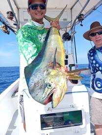 Mahi maji for dinners 