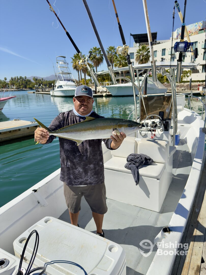 San Jose del Cabo Report Photo 0