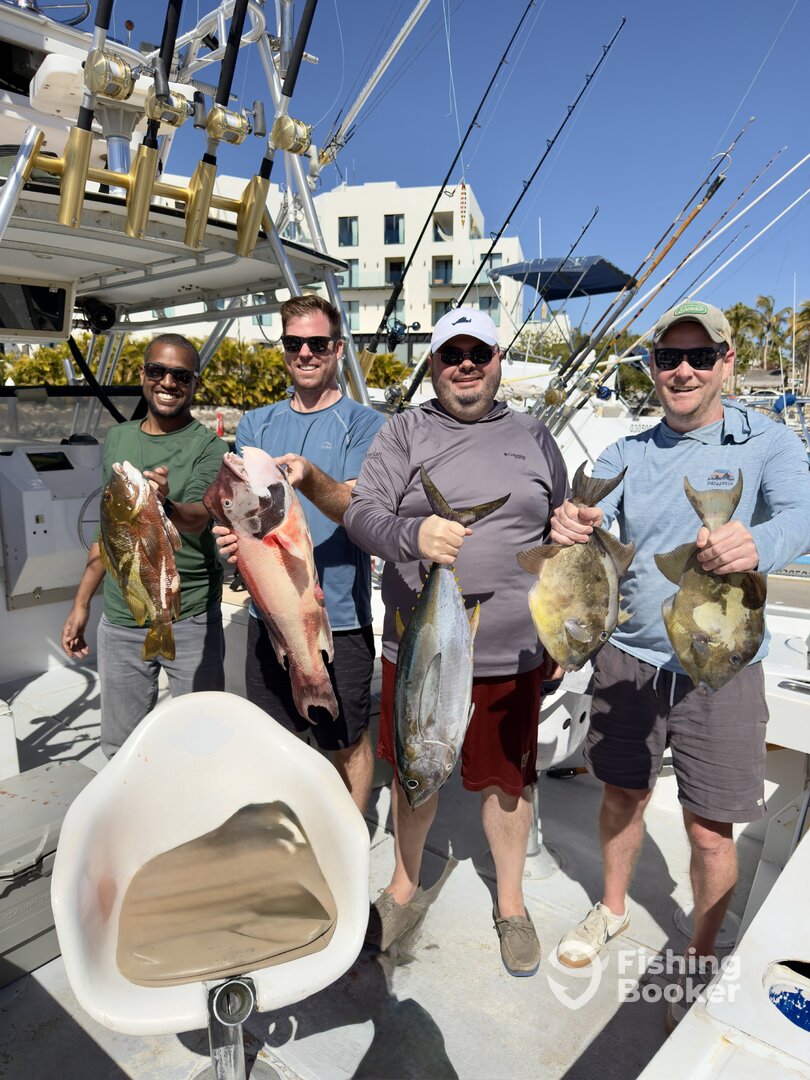 San Jose del Cabo Report Photo 0