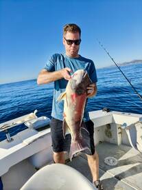 San Jose del Cabo Report Photo 2
