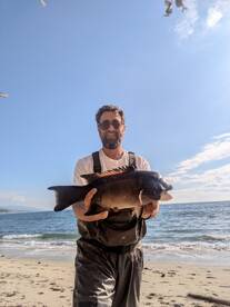 Sheephead are biting!