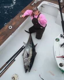 BLUEFINS, BLUEFINS, BLUEFINS!!!