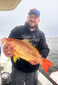 Port Orange Report Photo 1