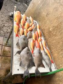 Port Orange Report Photo 2