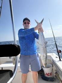 Kingfish