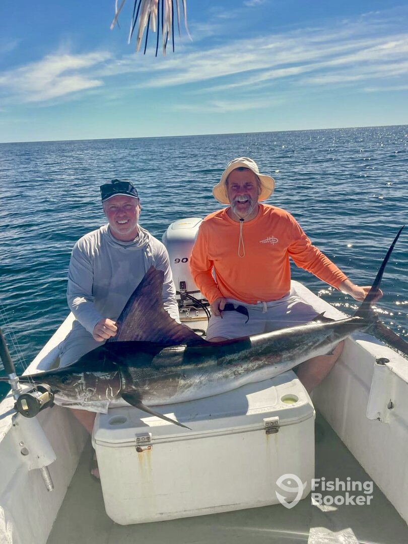 San Jose del Cabo Report Photo 0