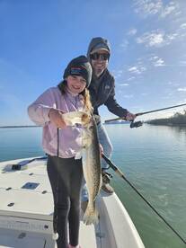 Sarasota Report Photo 2