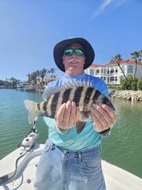 Sarasota Report Photo 1