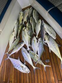 Our last fishing report