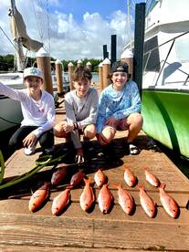 Dania Beach Report Photo 1