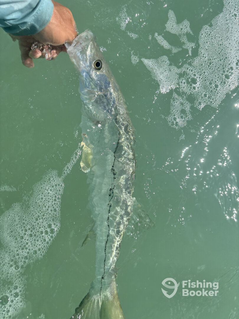 Key Largo Report Photo 0