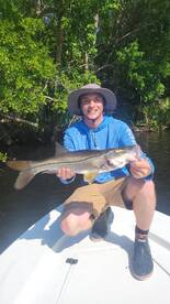 Snook have been warming up this past wee