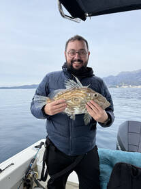 Budva Report Photo 2