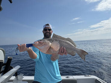 Red grouper! 