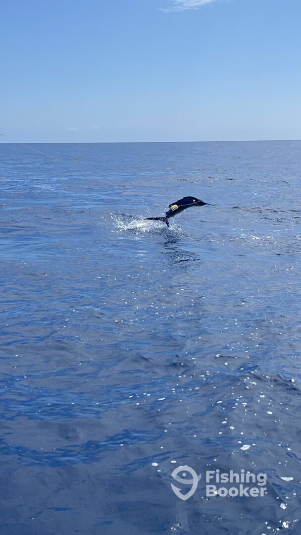 Quepos Report Photo 0