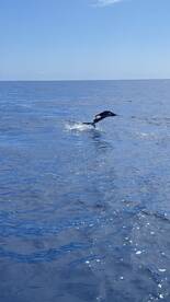 the sail peak is on fire